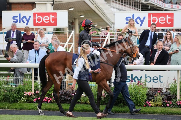 yr23072021r4-11 - Race 4 7.30pm British Stallion Studs EBF Lyric Fillies' Stakes