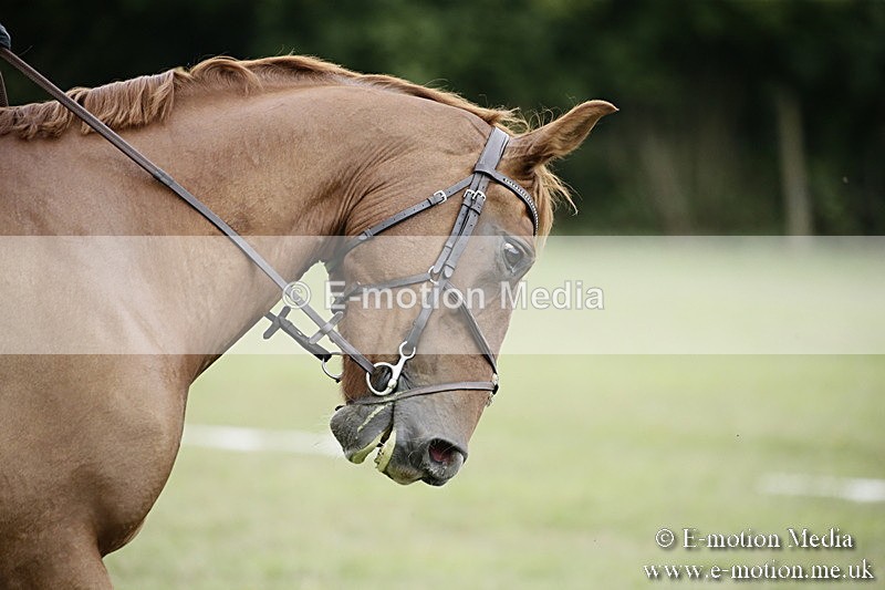 BVR090918 313 - BVRC Dressage and Show Jumping 09/09/18