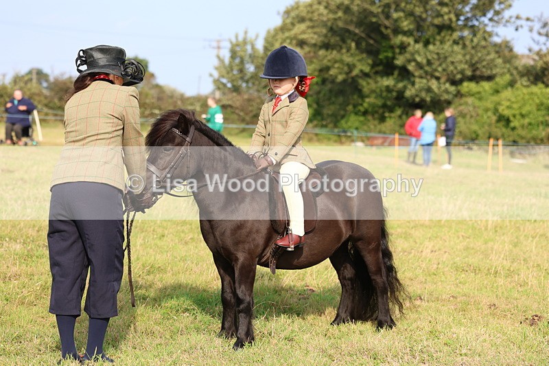 3E7A3665 - Class 2: Lead rein