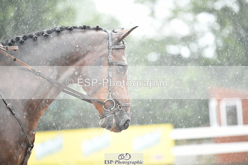 260829B-120336-00654 - 12pm-1pm