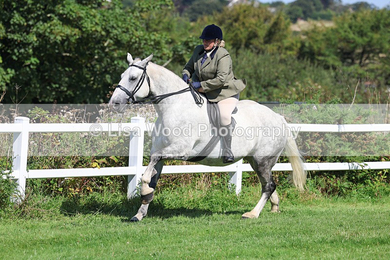 3E7A8418 - Class 4: Novice working Hunter