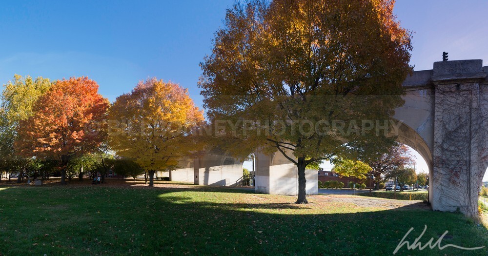 DSC_3715-Pano-Edit - Autumn