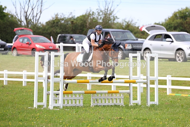 3E7A1859 - Class 13: Senior British Novice/90cm open