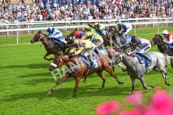 yr05092021r2-31 - Race 2 2.40pm John and Judith Marshall Memorial Stakes