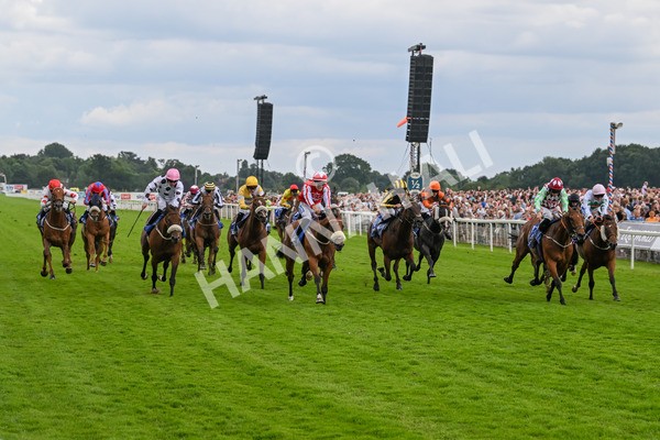 270724-Race 1-Night On Earth-6663 - Race 1 2.05pm Sky Bet 'Jump Jockeys' Nunthorpe' Handicap