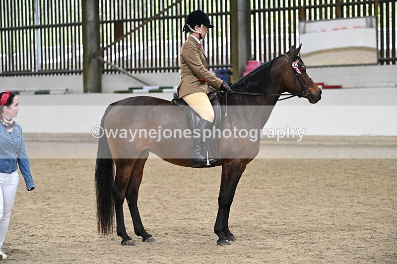 WJ7_4616 - Afternoon Champs