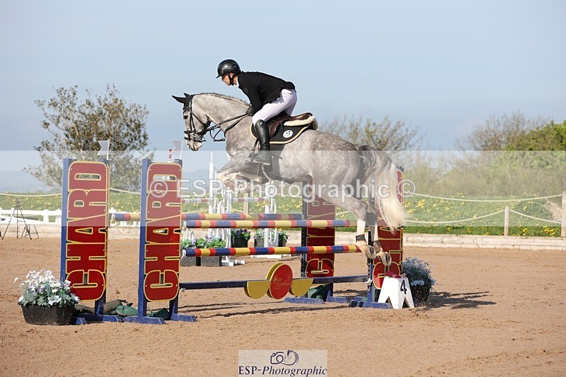 250427-090034-14713 - Cls 28 Young Horse 5yr old