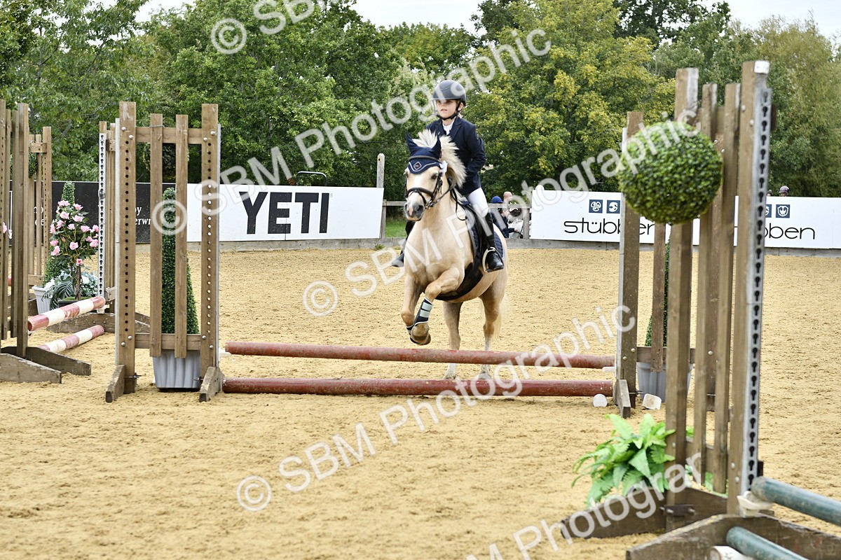 SBM_65505 - J2a mini Tour Junior Pony 30cm Championship
