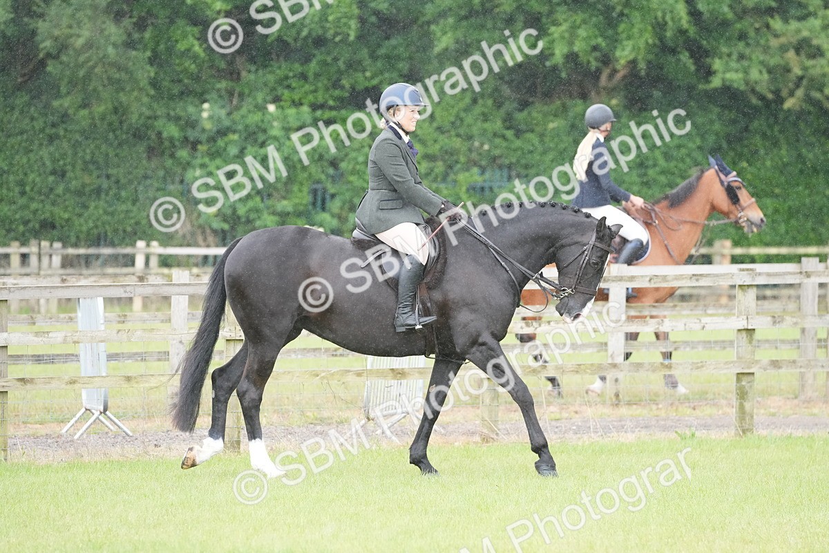 SBM_12638 - Class 97-98 - LIHS BSHA Rising Star Working Show Horse Hunter