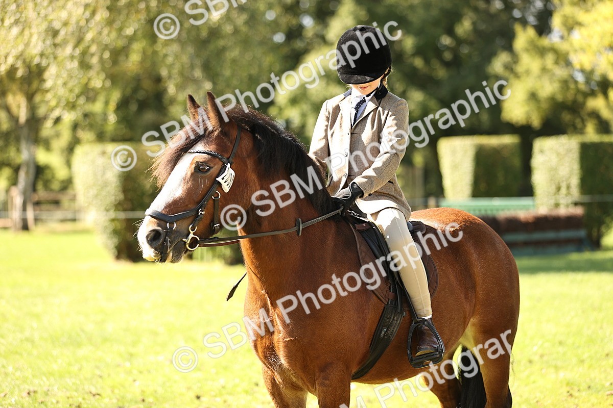 SBM_19189 - S3 - TSR Ridden Pony Showing