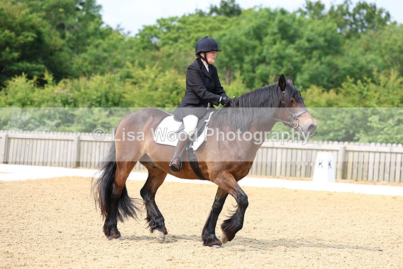 3E7A9064 - Class 2: Intro 1 2024 Section B