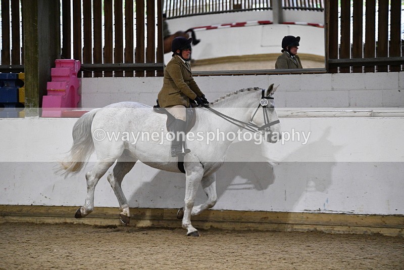 WJ5_8833 - Class 15 Ridden Show Horse