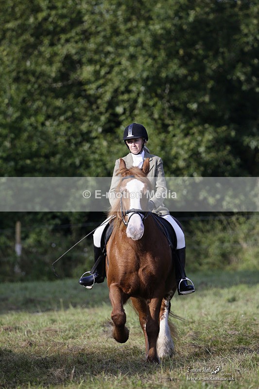 BVRC 120921 36 - Bourne Valley Riding Club UA Dressage & Show Jumping 12/09/21