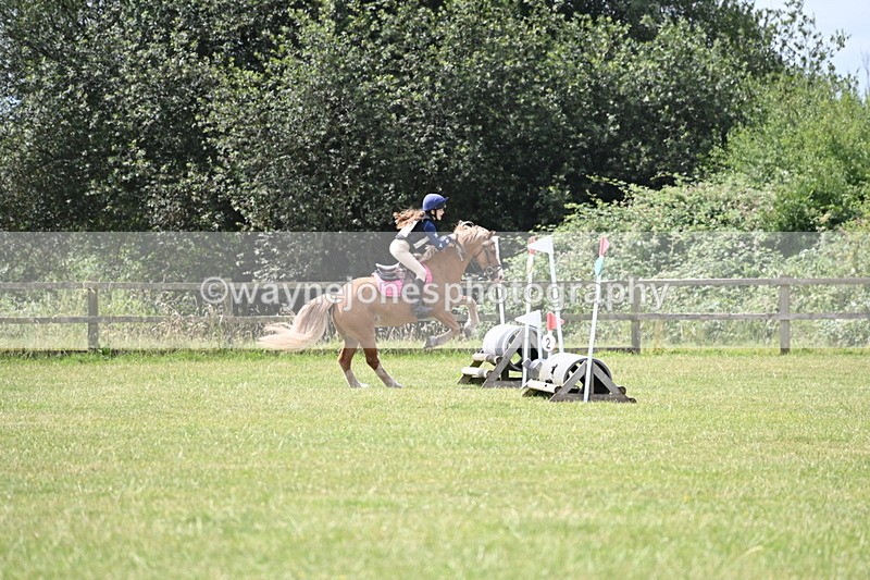 WJ6_6839 - 80cm XC Pairs