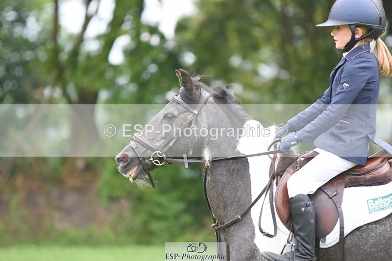 230618-091230-08858 - Cls 27 Cats & Pipes 128cm & 138cm