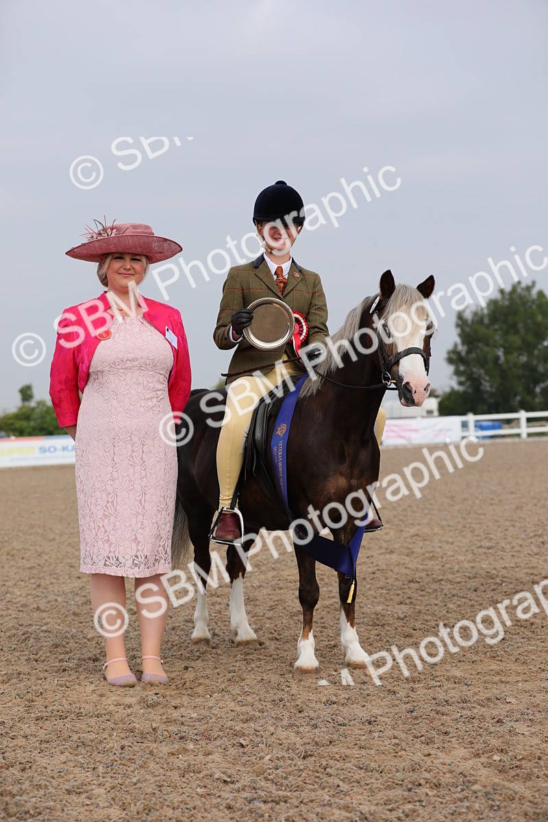SBM_09674 - Class 301 Ridden M&M -Small Breeds