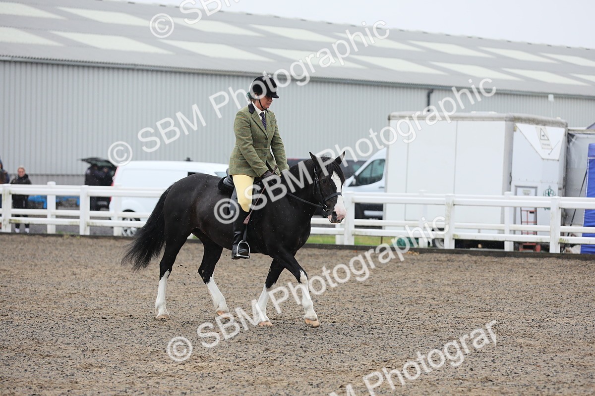 SBM_20064 - Class 802 - Ridden Groom - Helpers class