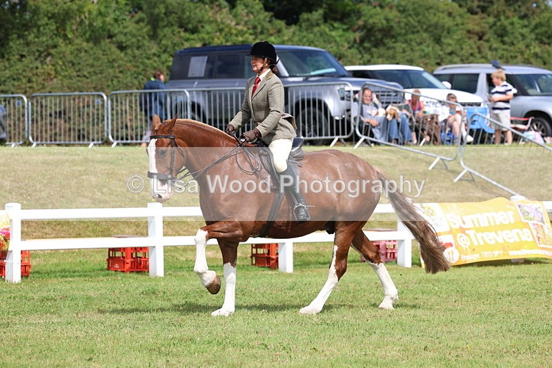 3E7A0193 - Class 6: Rising Star Maxi Cobs