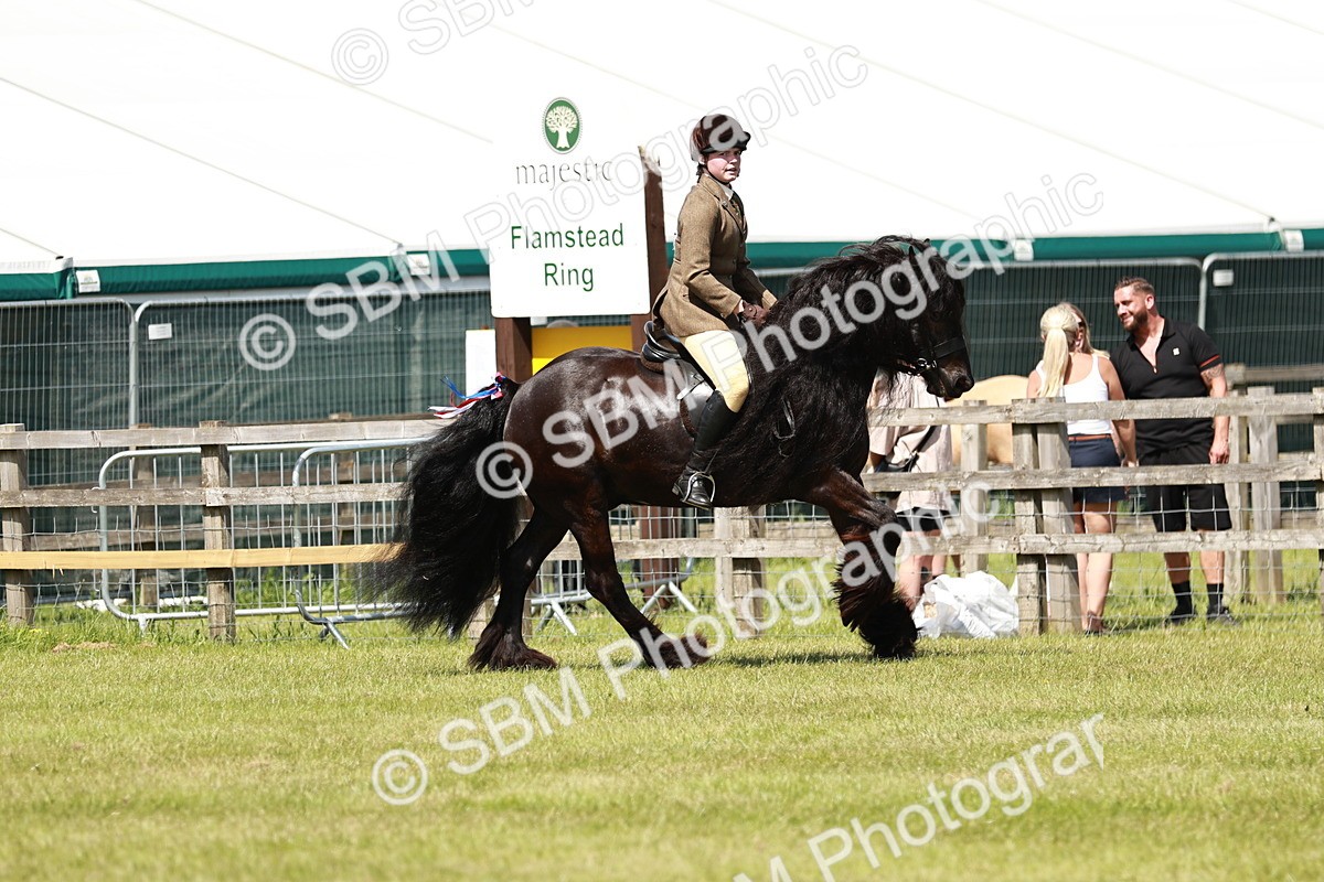 SBM_07124 - Class 26-30 - Mountain and Moorland Ridden