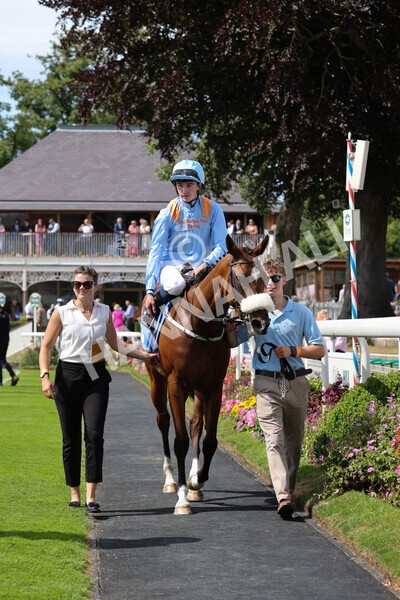 yr08072022r3-29 - Race 3 3.15pm William Hill Play Responsibly Irish EBF Novice Fillies Stakes