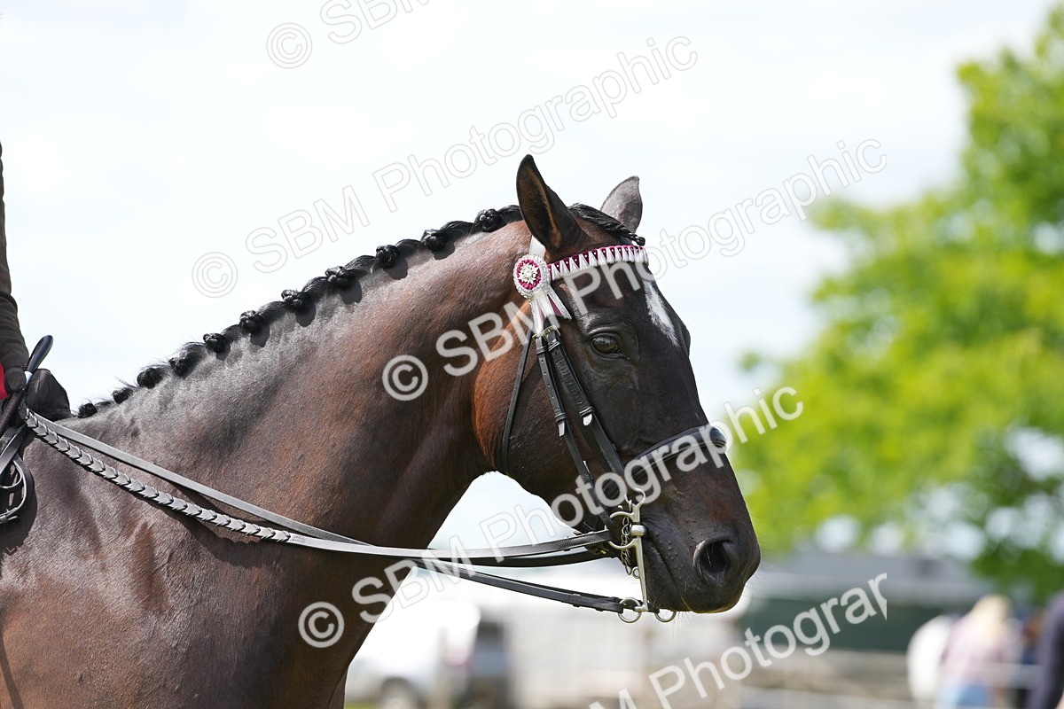 SBM_16265 - Class 105-106 - RIHS Riding Horses