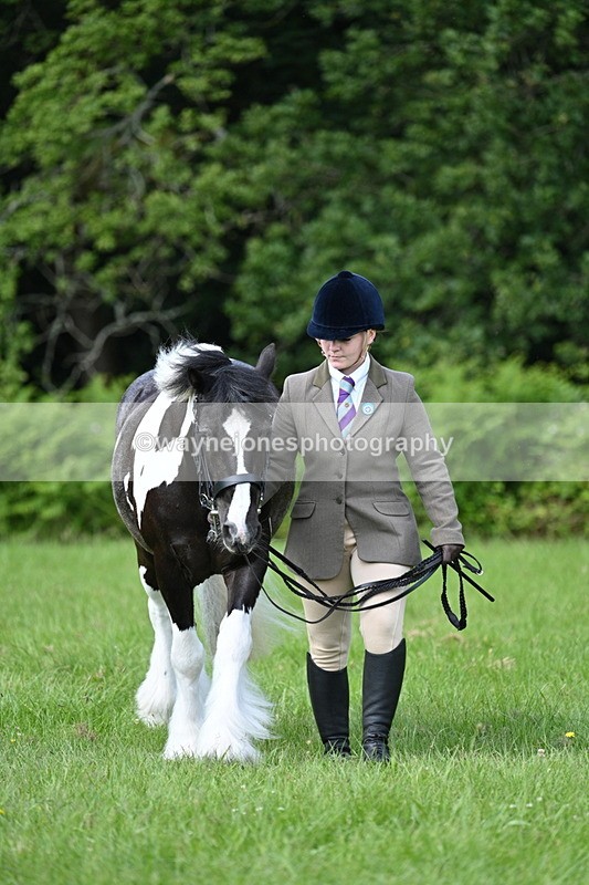 WJ7_1011 - Class 11 Condition & Turnout