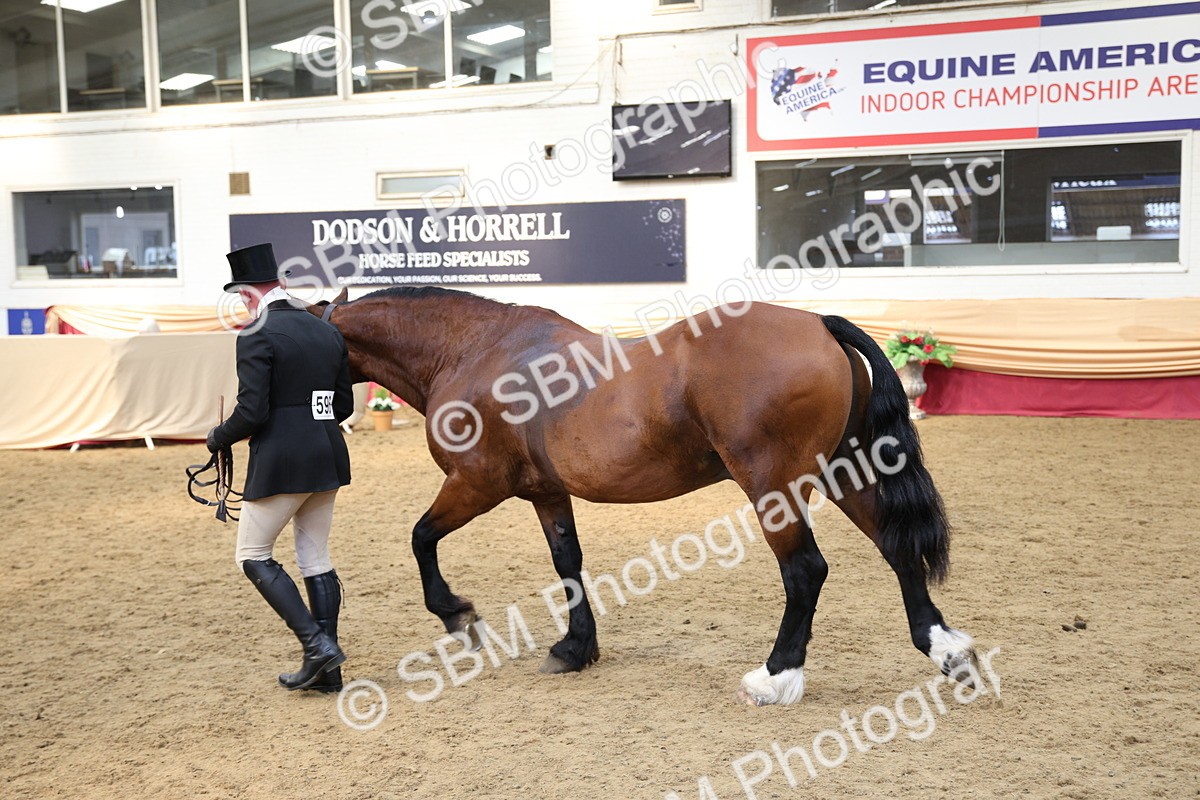 SBM_24735 - Class 906 - Supreme Final - Ridden Pre Vet