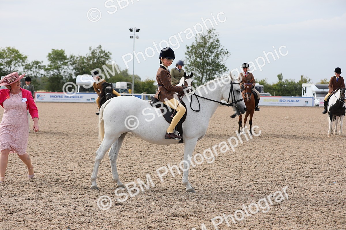 SBM_17005 - Class 314 Family Horse/Pony