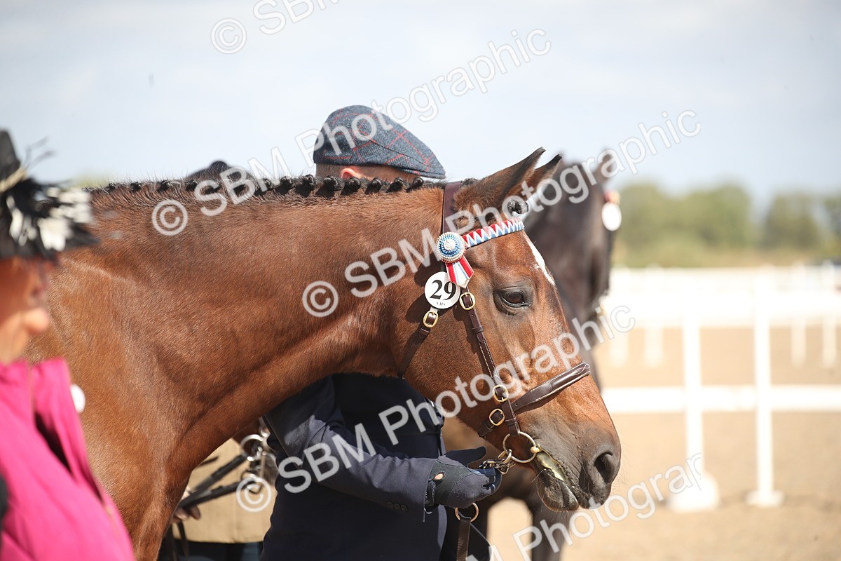 SBM_23429 - Class 604 - 2026 - Area IH Diamond