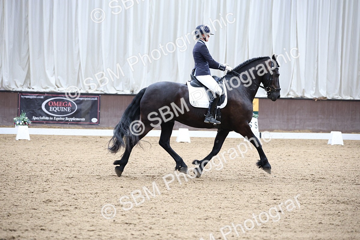 SBM_003176 - Class 5 - Novice 6 Gold - 11.41-12.51