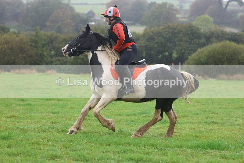 3E7A1013 - Class 1: 65cm: Rails