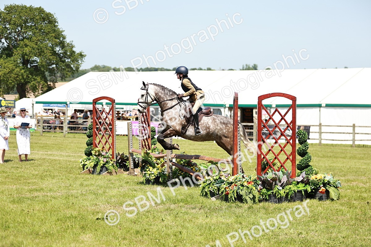 SBM_16370 - Class 110-111 - Training Stakes (70cms 80cms)