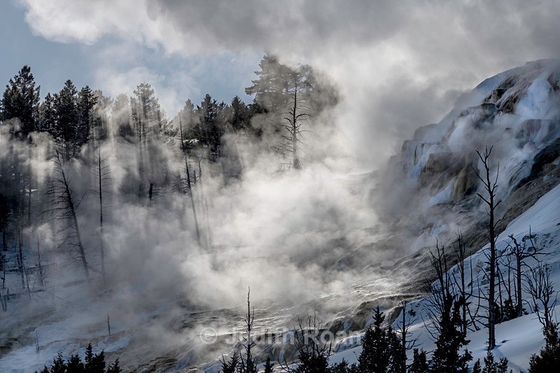 Mammoth Hotsprings - Yellowstone