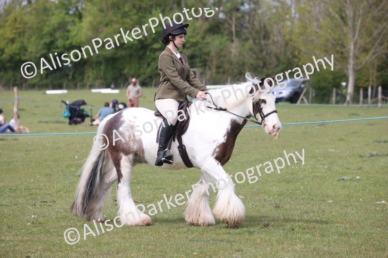 20260426-2910 - Class 33 - Best Pony 14.2hh and Under