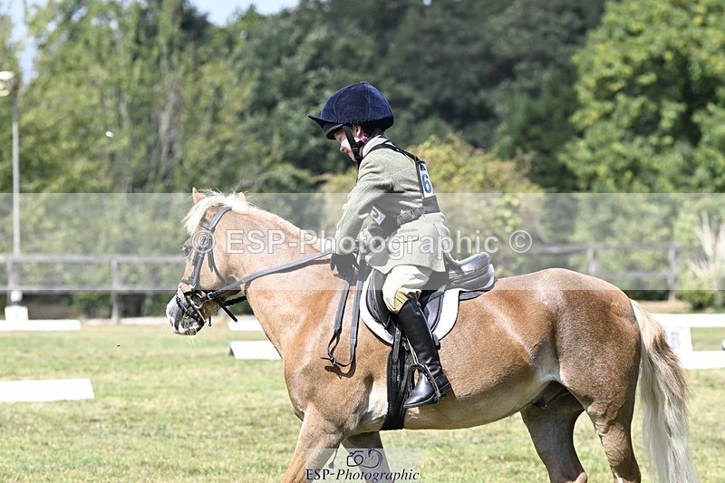 250822A-125205-21953 - DR 12.00 to End