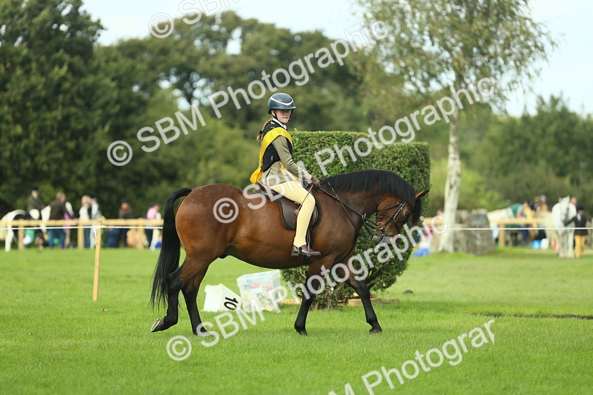SBM_44854 - Working Hunter Pony Supreme Championship