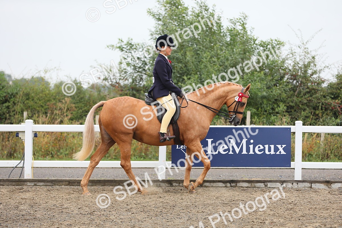 SBM_22275 - Class 807 - Young Rider 11 to 16 Yrs
