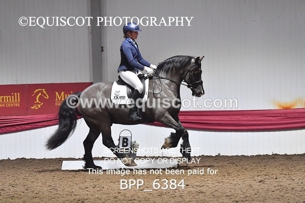 BPP_6384 - 37 Ellis Simister