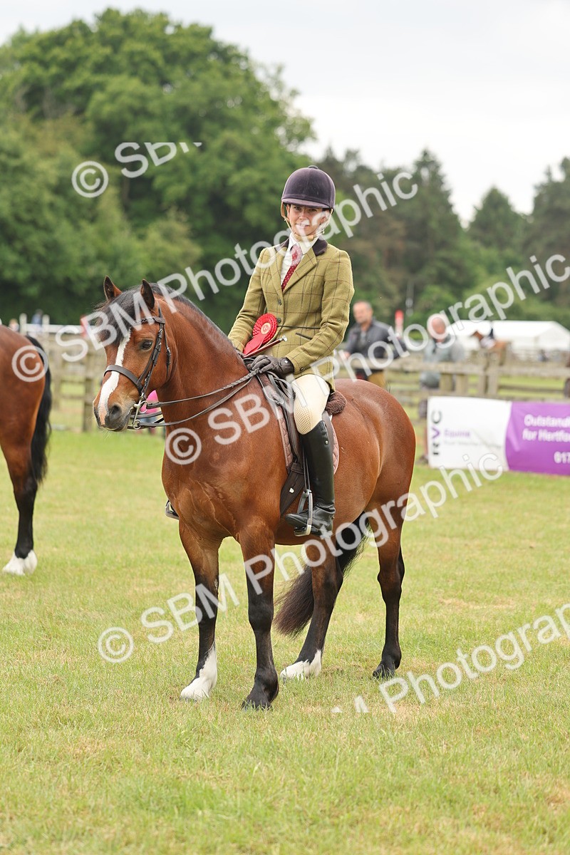 SBM_07259 - Class 76-77 - Ridden M&M Welsh Ponies