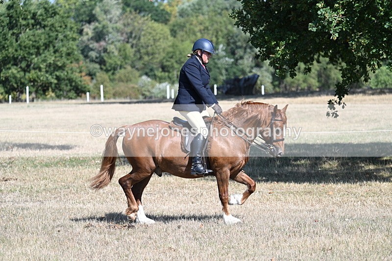 WJ7_3845 - Class 9 Mountain & Moorland Ridden