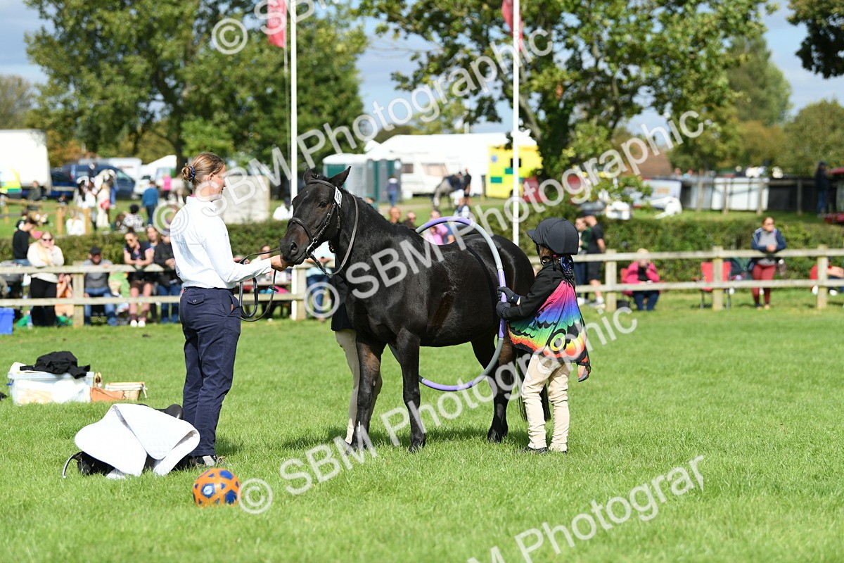 SBM_46967 - S12 - Family Horse & Pony