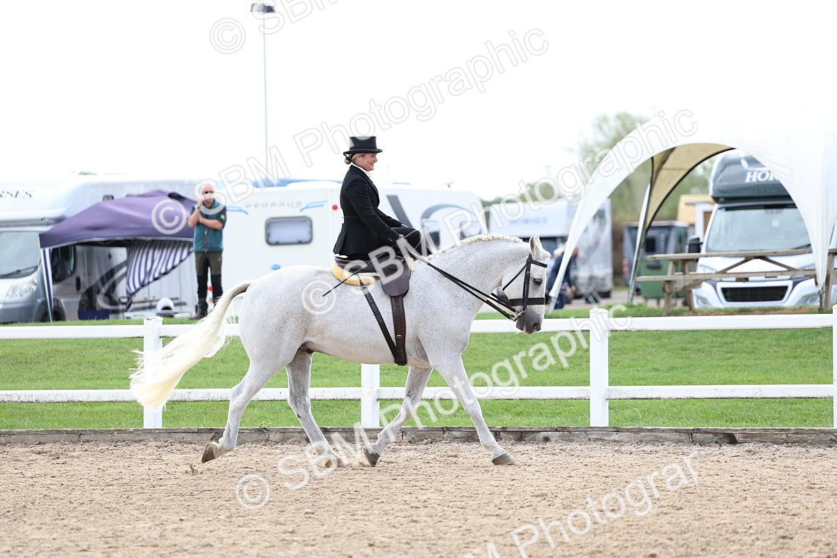 SBM_03173 - Class 22 - SSA Equitation (any age)