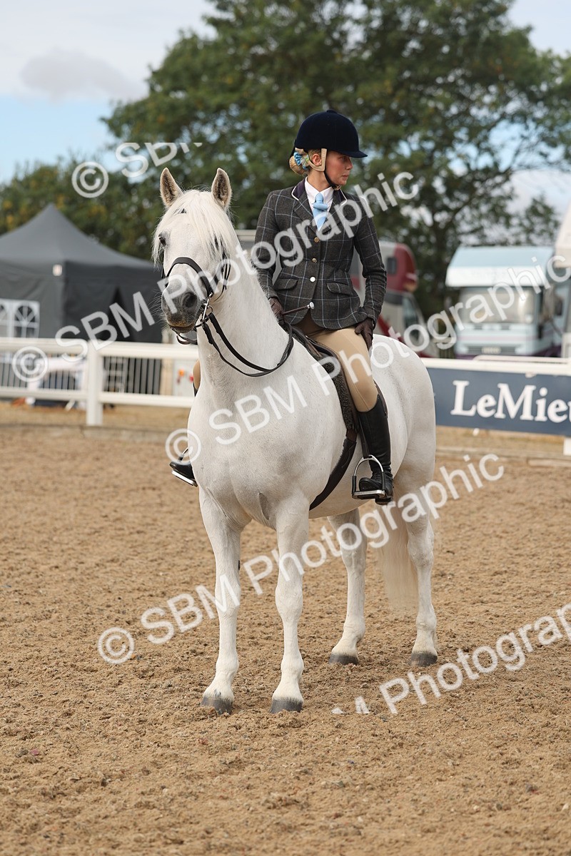 SBM_02006 - Class 14 - Ridden M&M Wildcard