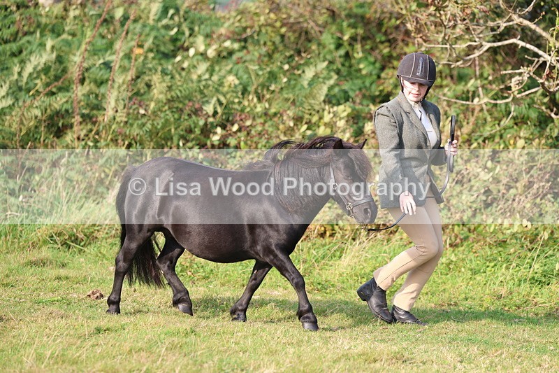 3E7A3184 - Class 12: M & M Small Breeds