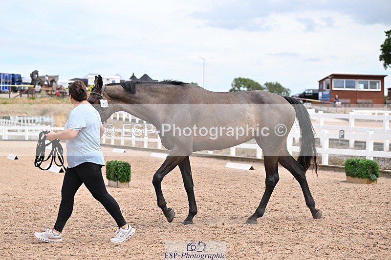 250716-142355-01060 - Trot Up 1.30 to 2.30