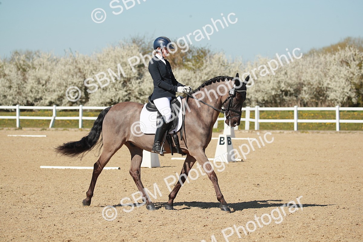 SJ3_1583 - Class 2-5-4-6-7 - Paso Doble-Golega-Sevilla-Lisboa-Novato