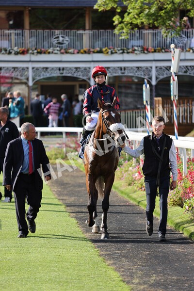 yr23072021r1-35 - Race 1 6.00pm John Wright Electrical Silk Series Lady Riders Handicap