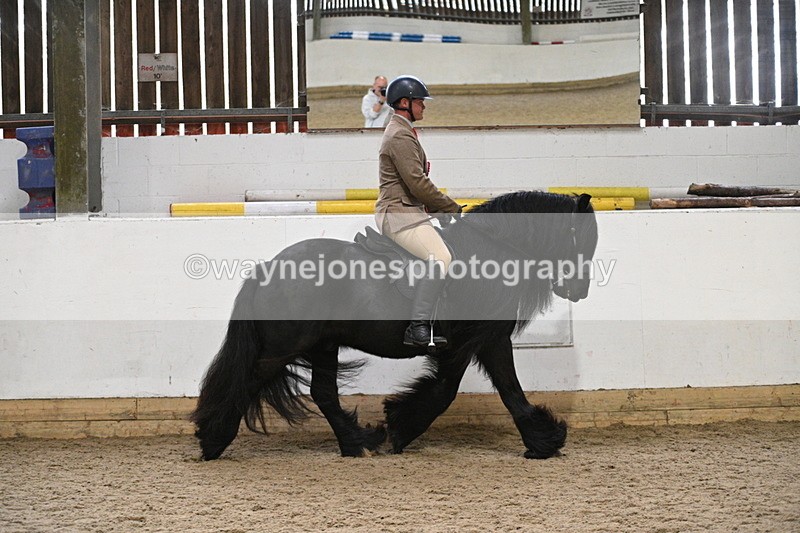 WJ7_4503 - Afternoon Champs