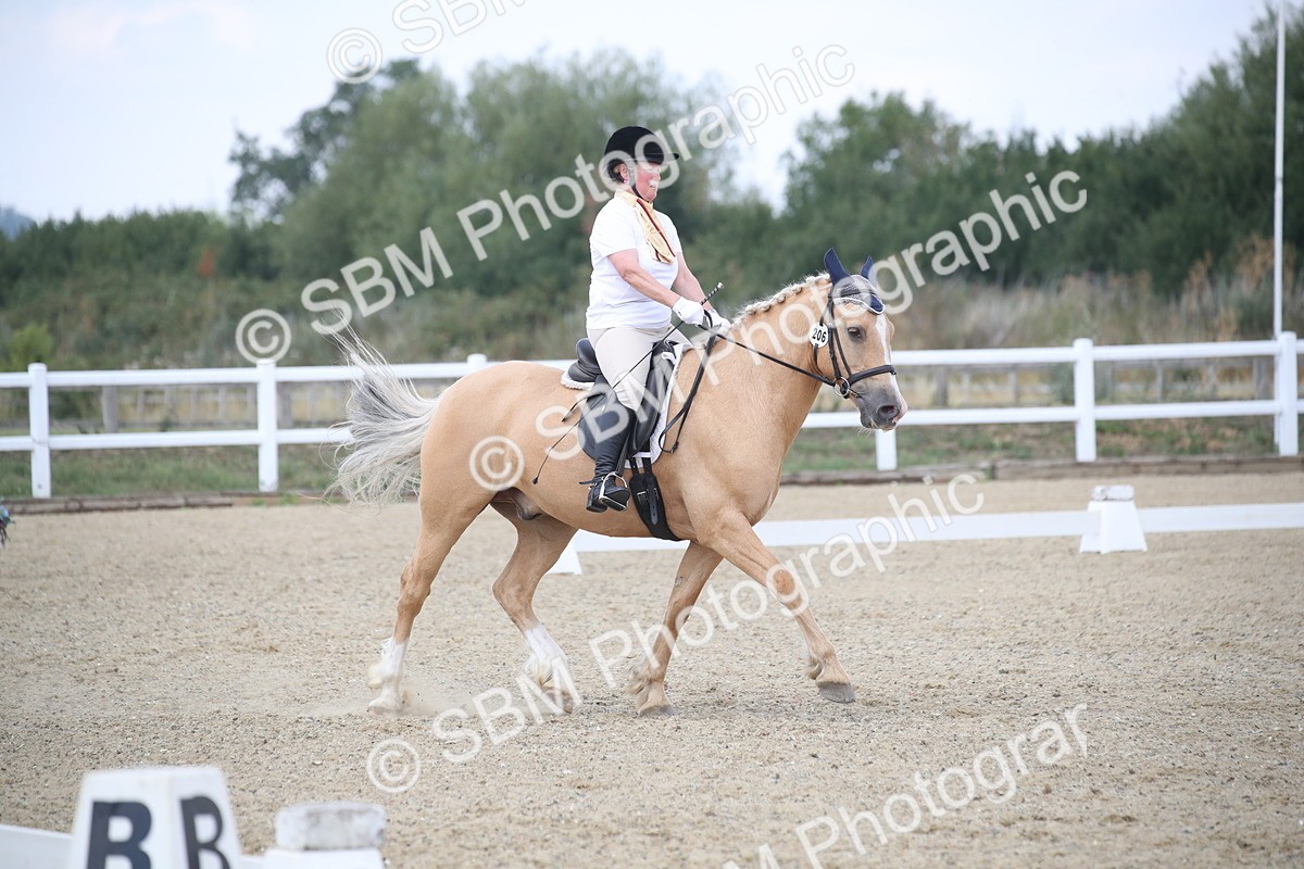 SBM_008197 - Novice 5 - 10.56-13.12