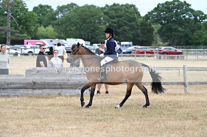 WJ7_7224 - Class 2 Best Rider